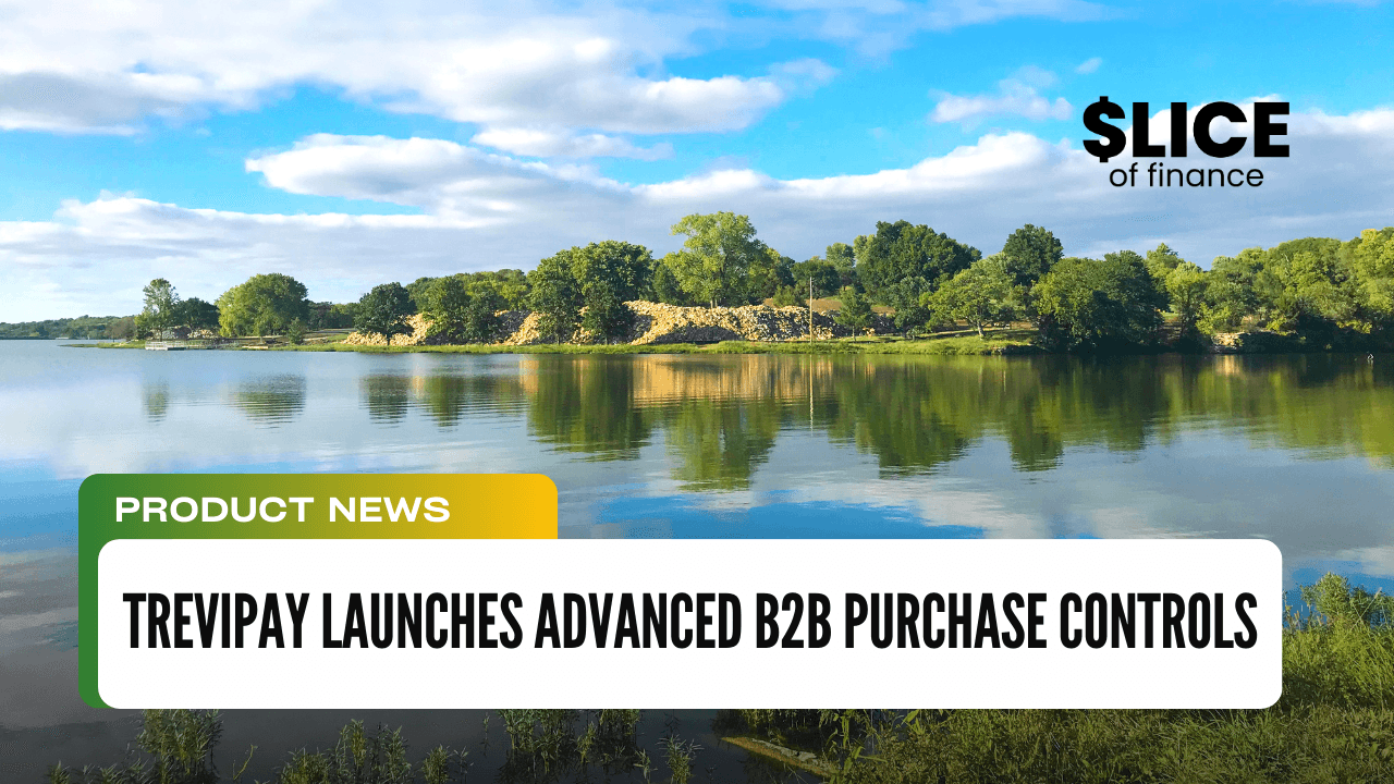 TreviPay Launches Advanced B2B Purchase Controls